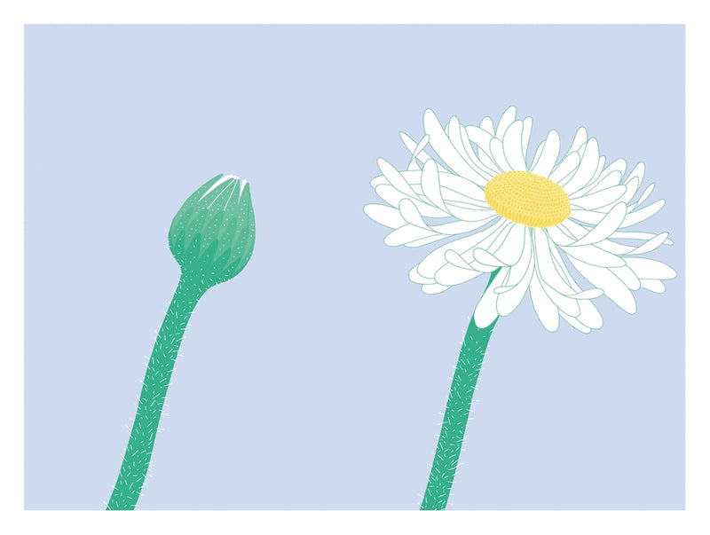 Before After US - Hardback