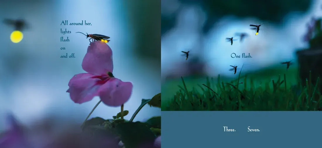 Among a Thousand Fireflies US - Hardback