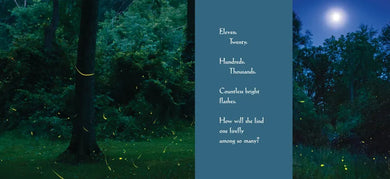 Among a Thousand Fireflies US - Hardback
