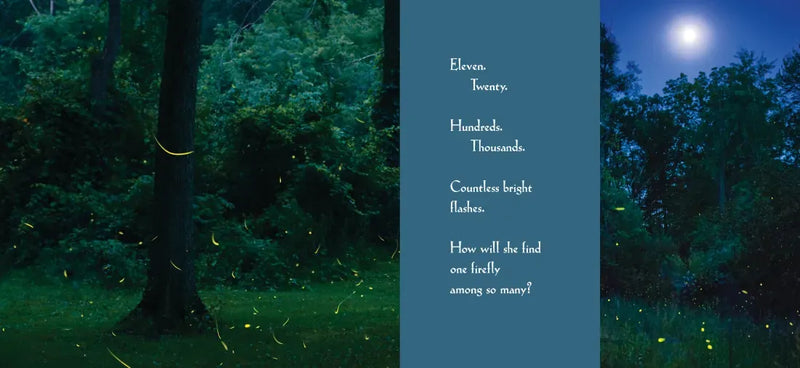 Among a Thousand Fireflies US - Hardback