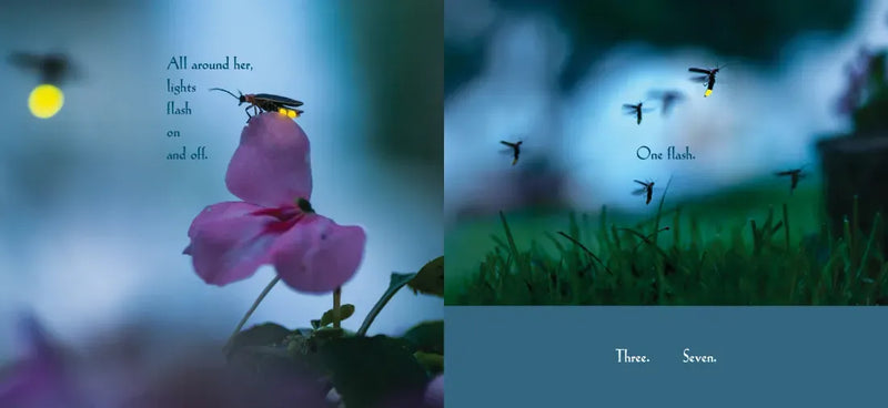 Among a Thousand Fireflies US - Hardback