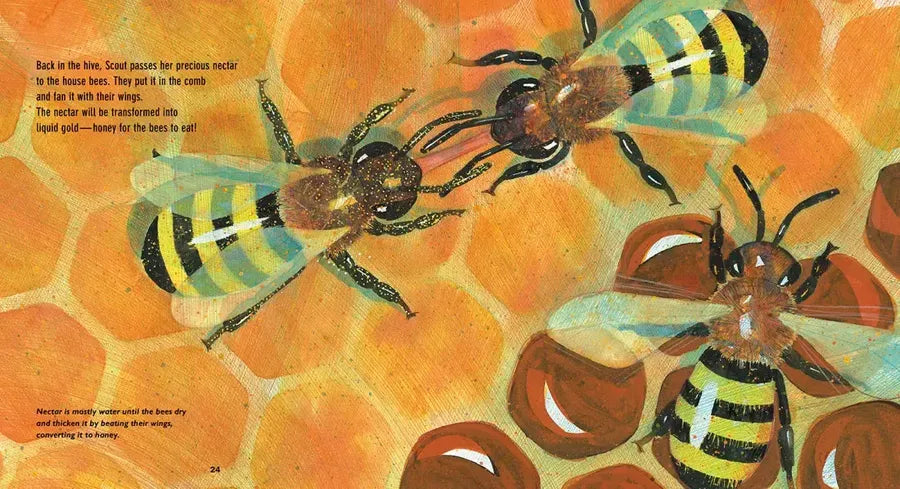 Flight of the Honey Bee US - Paperback / softback