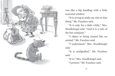 Mrs. Noodlekugel and Four Blind Mice US - Paperback / softback