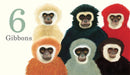 One Gorilla: A Counting Book US - Board book