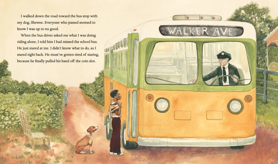 White Water US - Paperback / softback