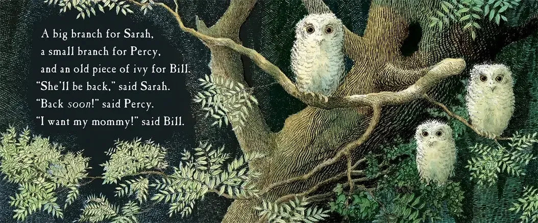 Owl Babies US - Board book (9780763679613)
