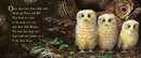 Owl Babies US - Board book (9780763679613)