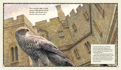 The Hawk of the Castle US - Hardback