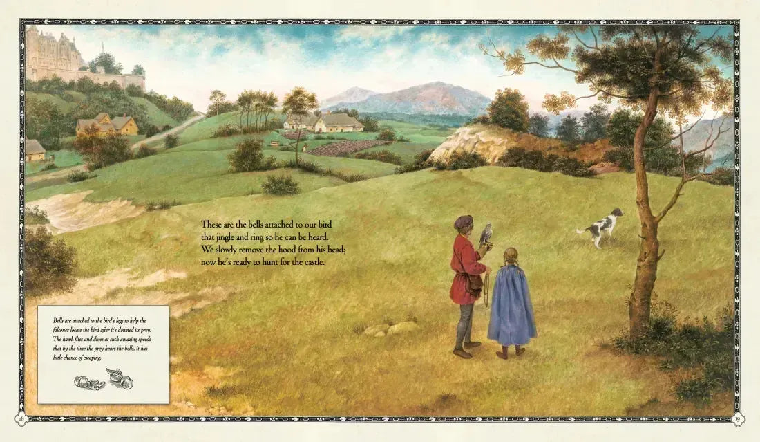 The Hawk of the Castle US - Hardback
