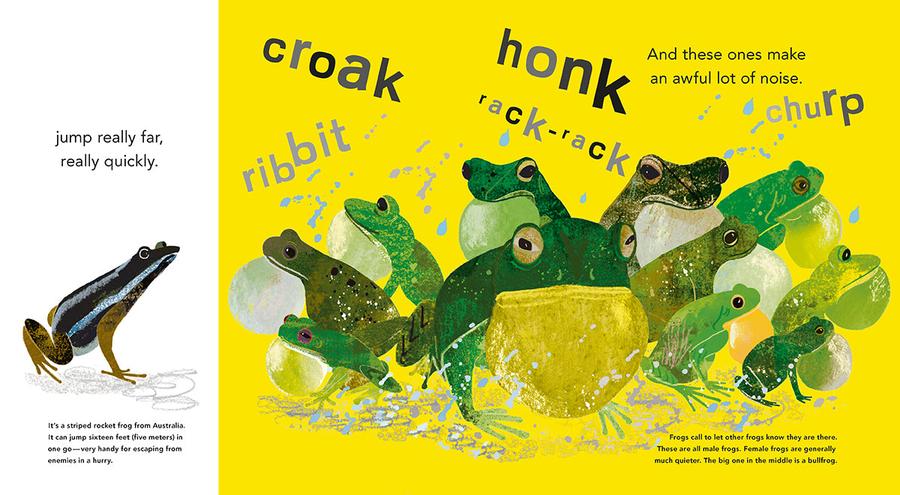 Fabulous Frogs US - Hardback