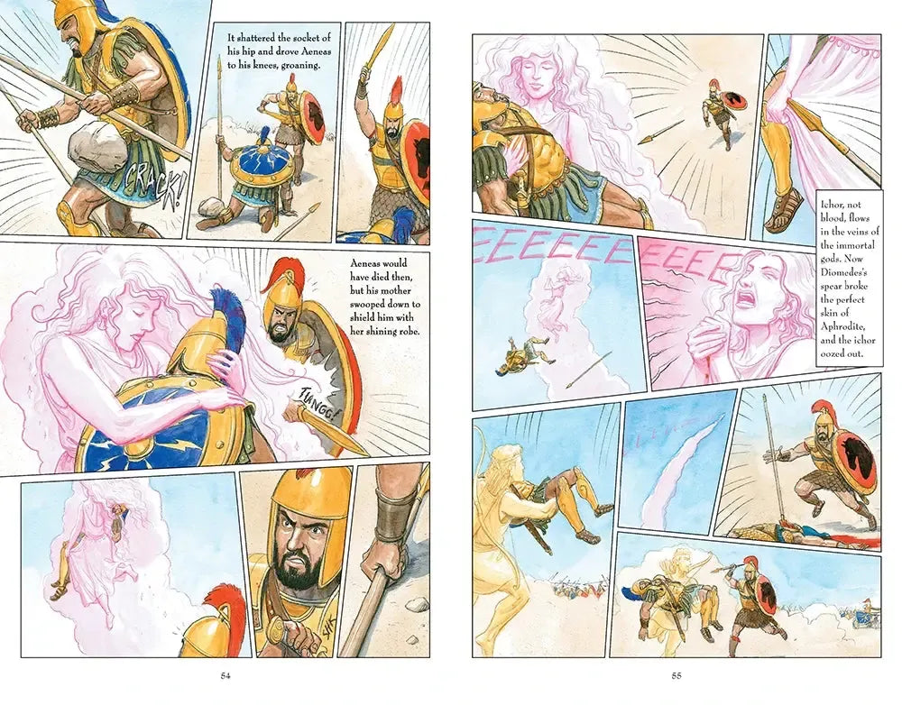 The Iliad: A Graphic Novel US - Hardback