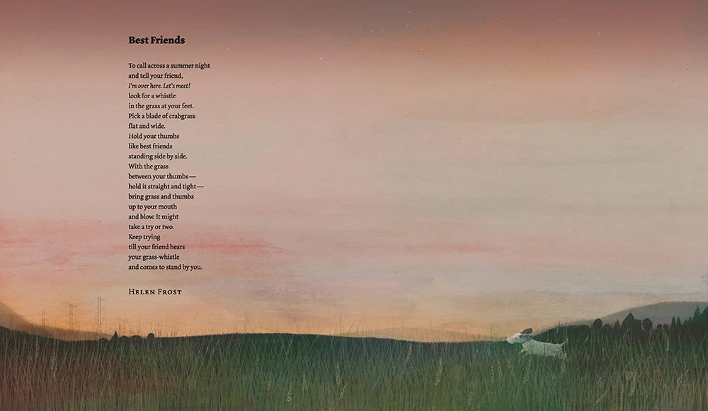 The Proper Way to Meet a Hedgehog and Other How-To Poems US - Hardback