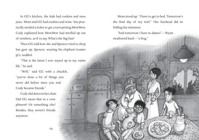 Cody and the Fountain of Happiness US - Paperback / softback