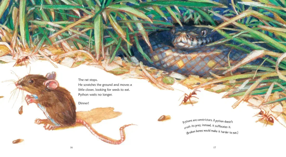 Python US - Paperback / softback