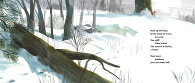 Little Fox in the Snow US - Hardback