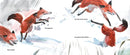 Little Fox in the Snow US - Hardback
