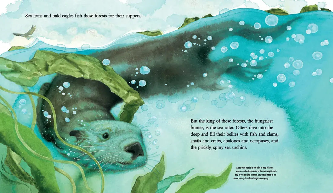 If You Take Away the Otter US - Hardback