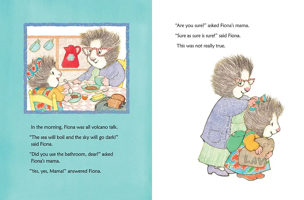 Fiona's Little Accident US - Hardback