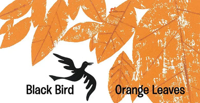 Black Bird Yellow Sun US - Board book
