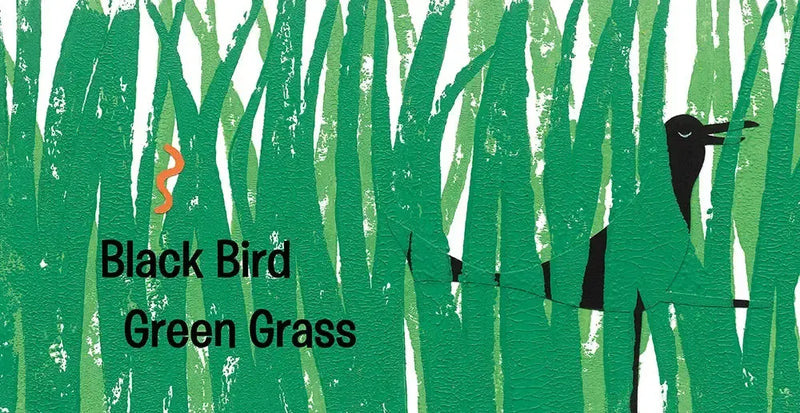 Black Bird Yellow Sun US - Board book