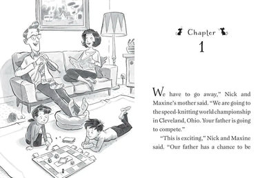 Mrs. Noodlekugel and Drooly the Bear US - Paperback / softback