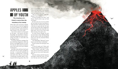 Norse Myths US - Hardback