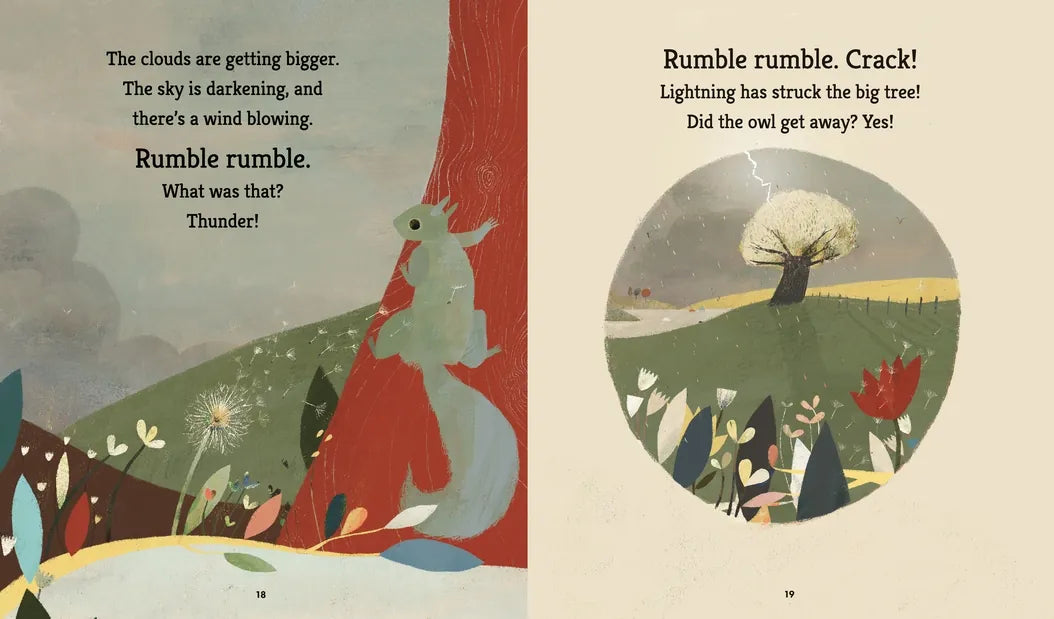 The Squirrels' Busy Year: A First Science Storybook US - Hardback