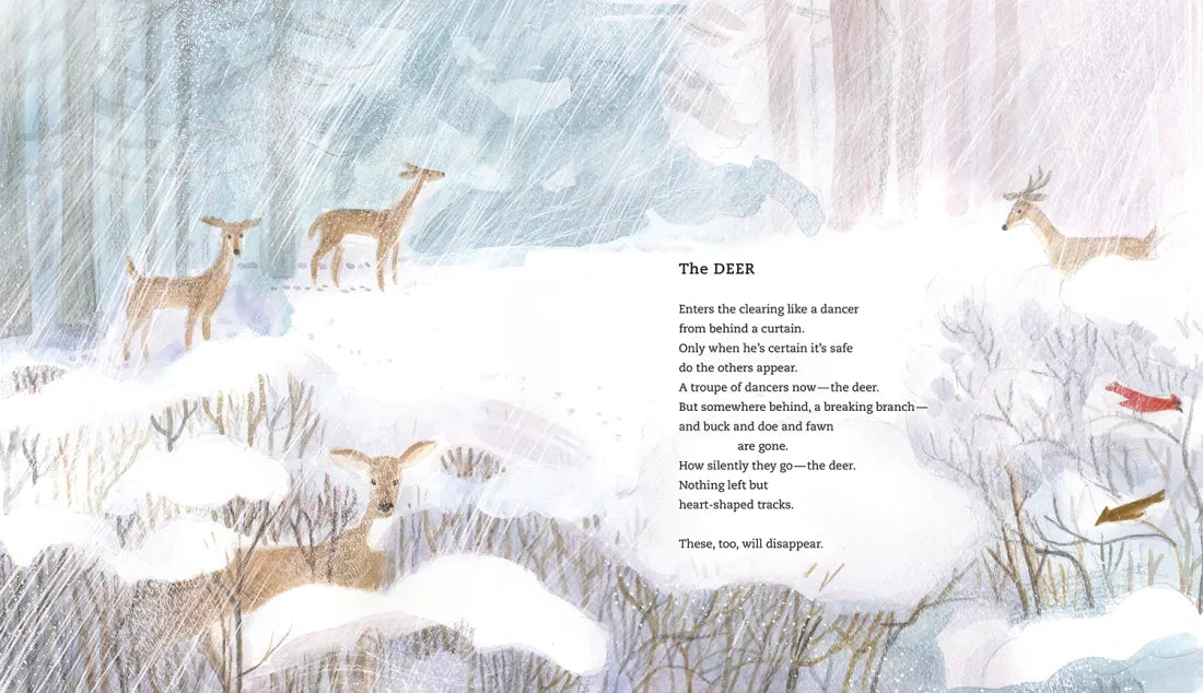 In the Woods US - Hardback