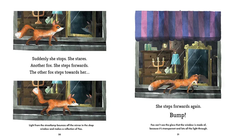 Fox Explores the Night: A First Science Storybook US - Hardback