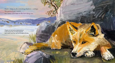 Dingo US - Hardback
