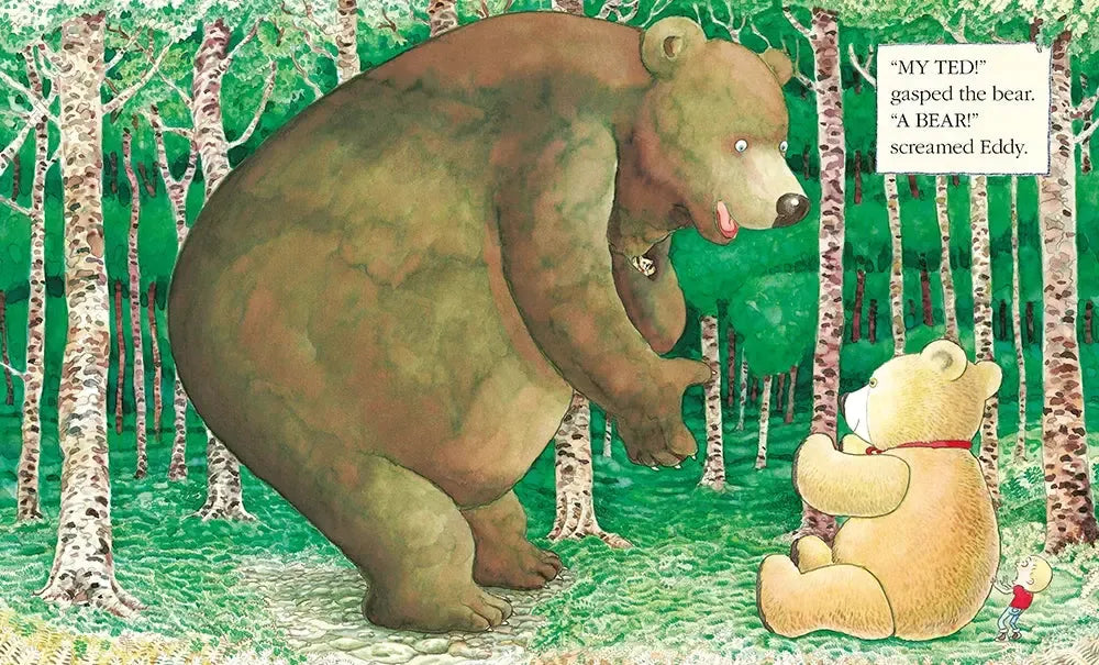 Where's My Teddy? US - Board book