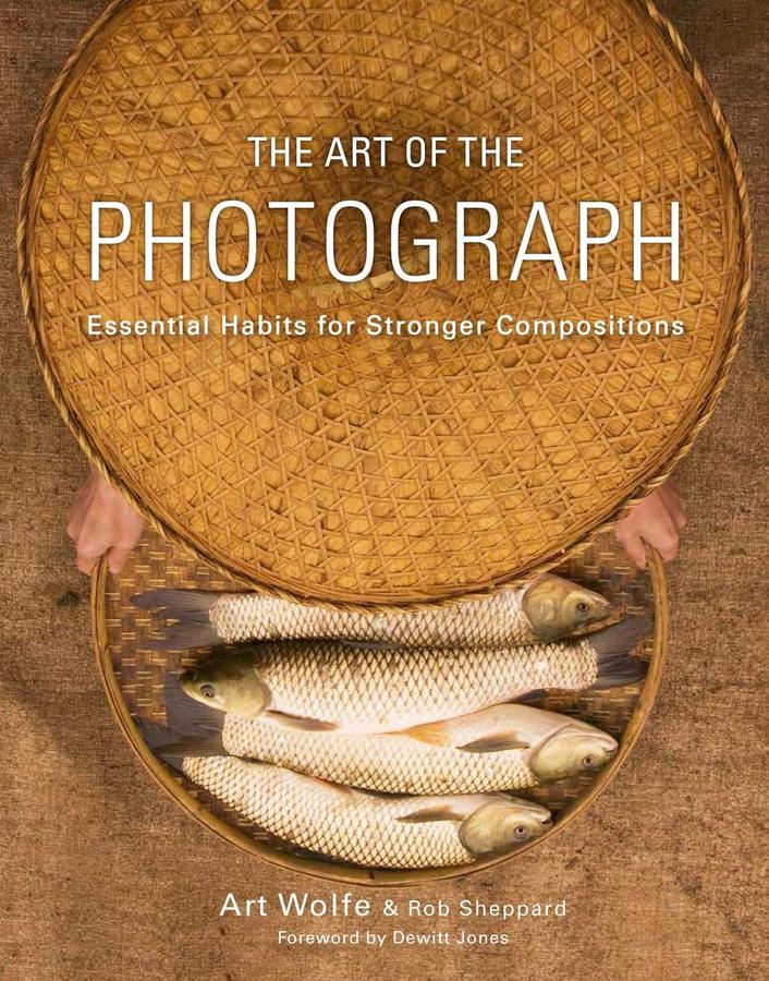 The Art of the Photograph-Photography and photographs-買書書 BuyBookBook