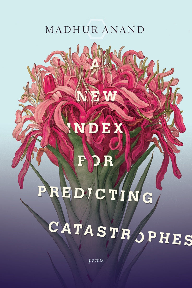 A New Index for Predicting Catastrophes-Poetry-買書書 BuyBookBook