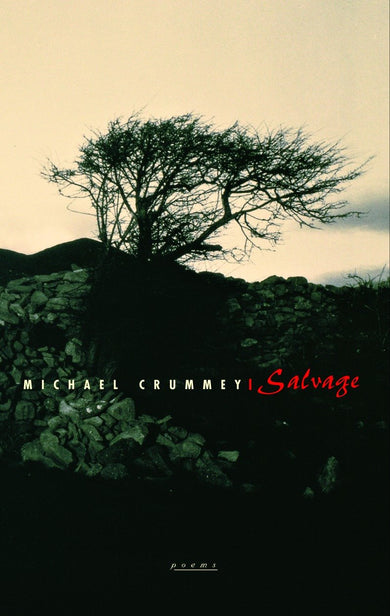 Salvage-Poetry-買書書 BuyBookBook