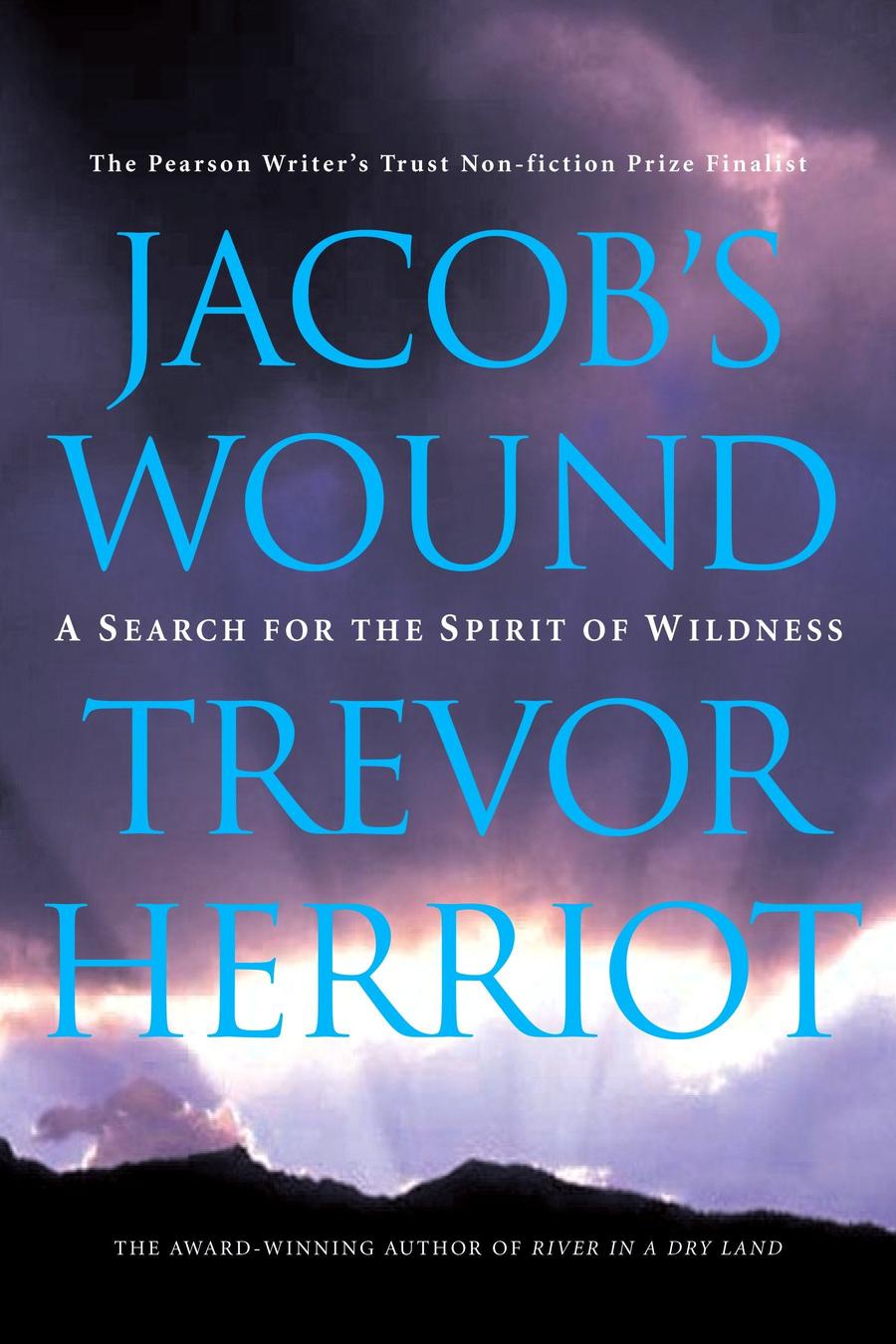 Jacob's Wound-Religion and beliefs-買書書 BuyBookBook