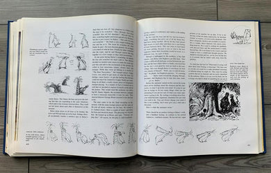 Illusion Of Life, The US - Hardback