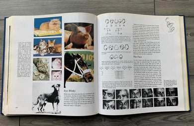 Illusion Of Life, The US - Hardback