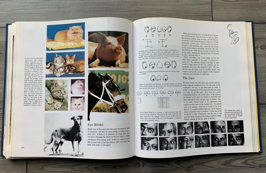 Illusion Of Life, The US - Hardback