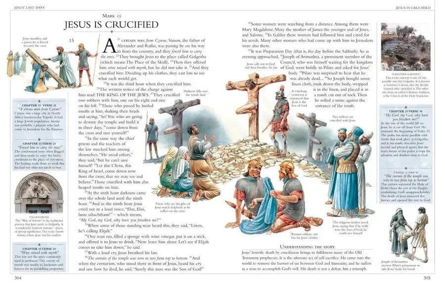 Illustrated Family Bible US - Hardback