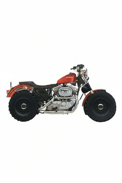 Motorcycle-Children’s / Teenage general interest: Science and technology-買書書 BuyBookBook