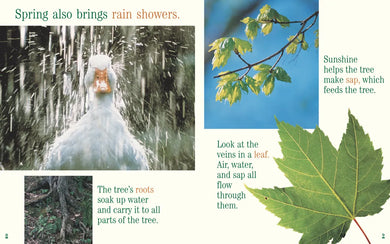 A Tree for All Seasons US - Paperback / softback