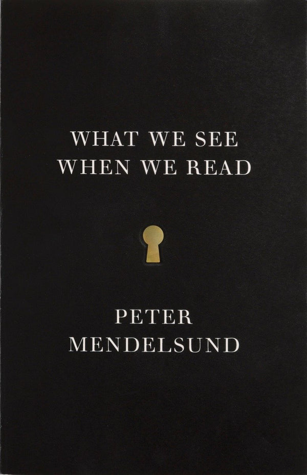 What We See When We Read-Literature and Literary studies-買書書 BuyBookBook