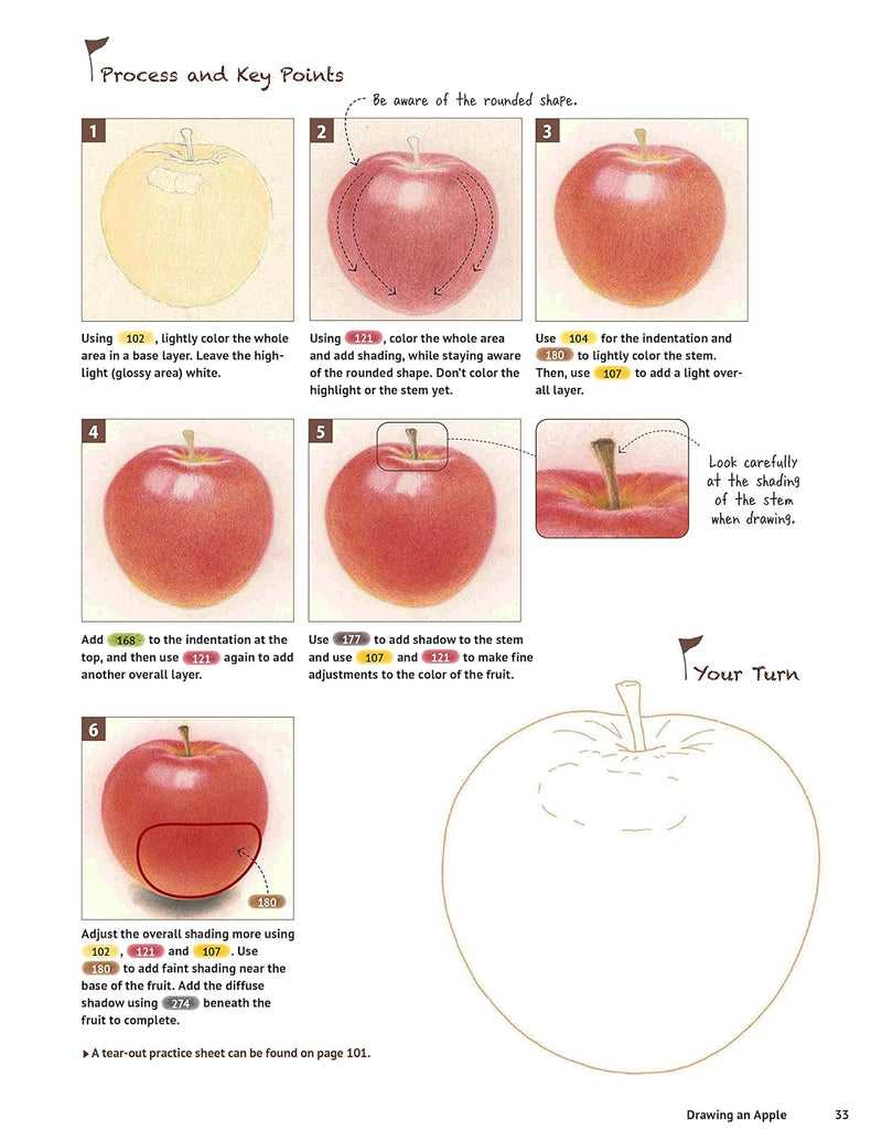 A Beginner's Guide to Colored Pencil Drawing: Realistic Drawings in 14 Easy Lessons! (Yoshiko Watanabe)-Children’s / Teenage general interest: Art/ music/ drama and film-買書書 BuyBookBook