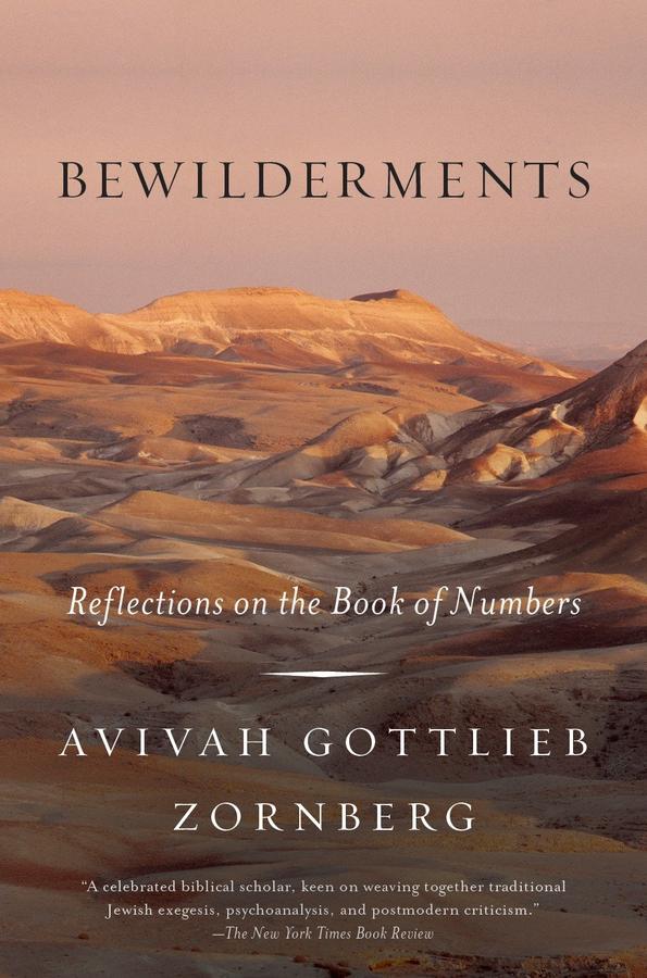 Bewilderments-Religion and beliefs-買書書 BuyBookBook