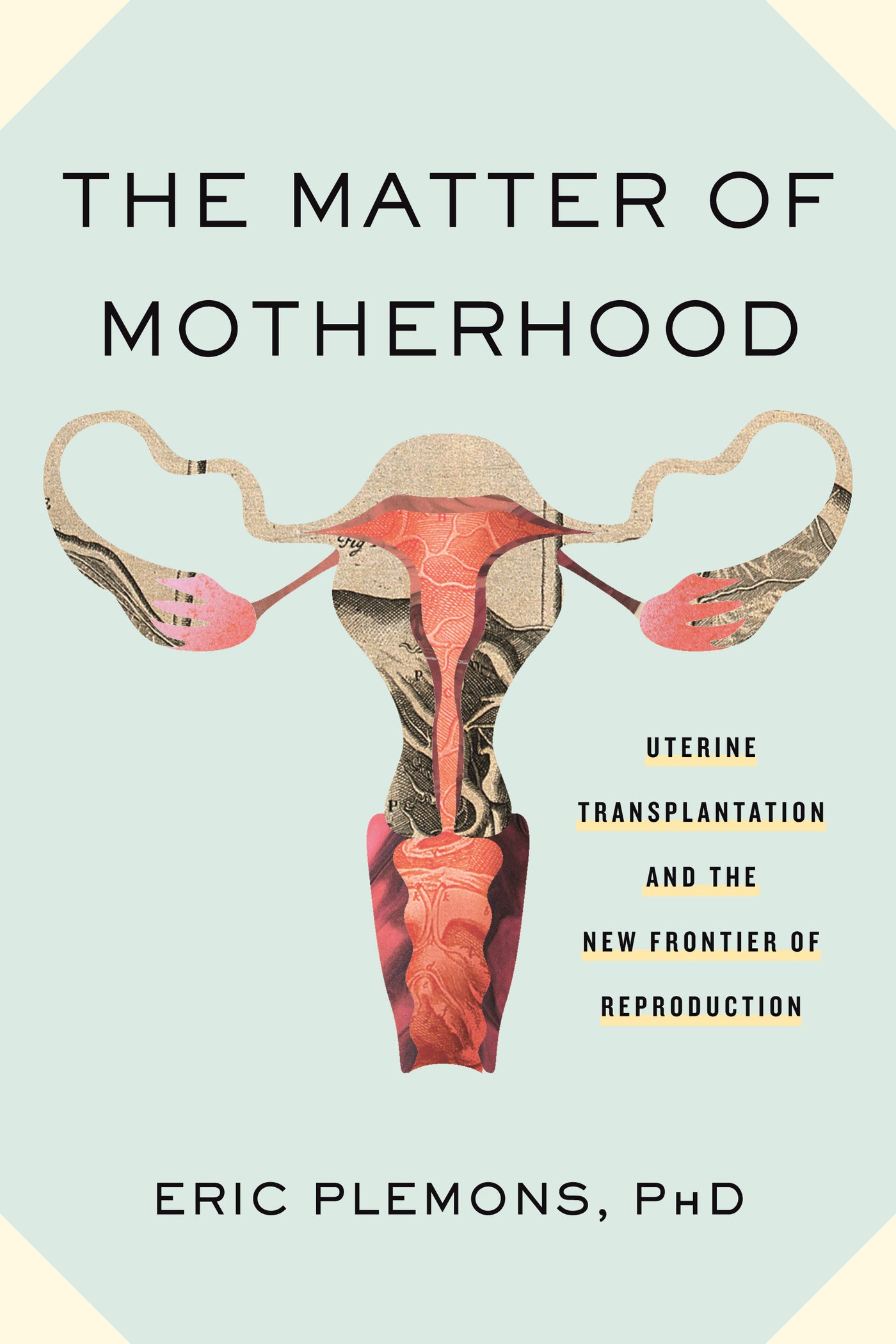 The Matter of Motherhood