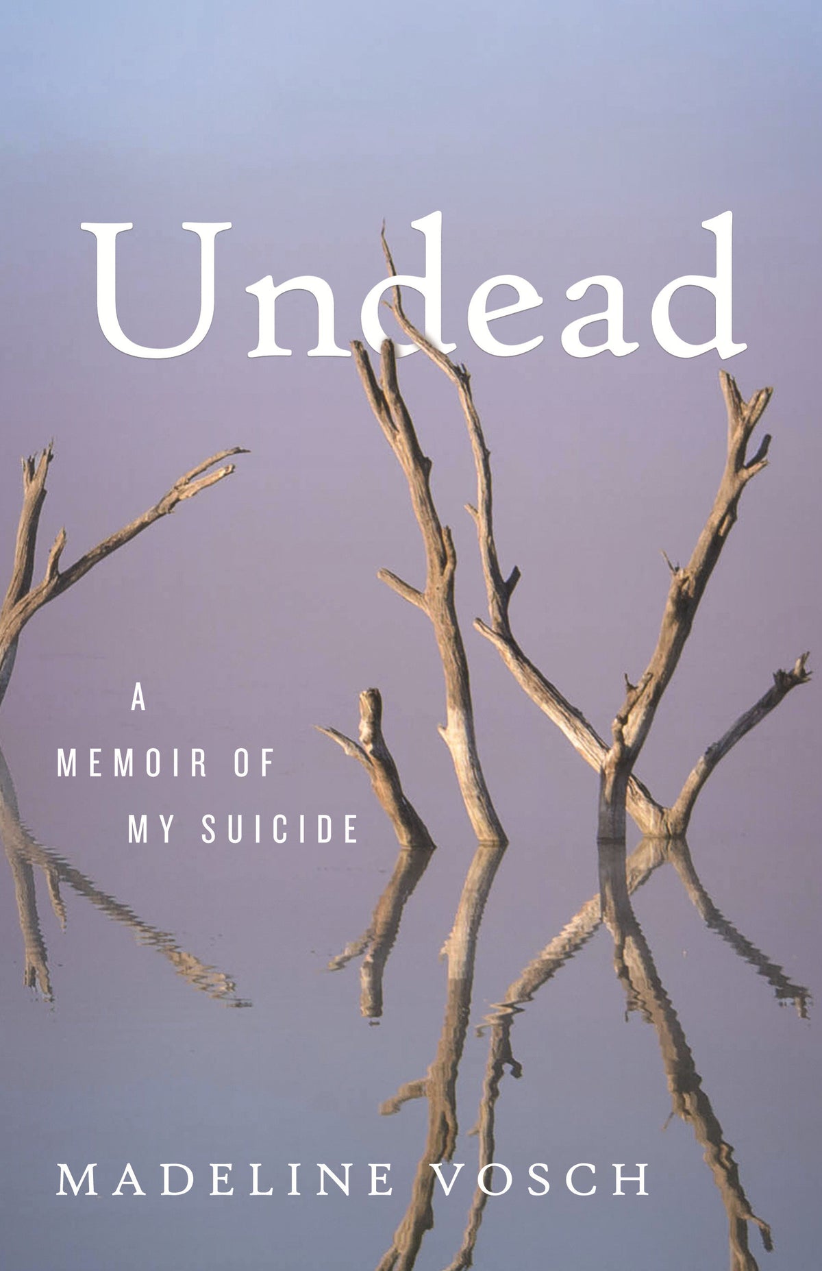 Undead cover (ISBN 9780807028483)