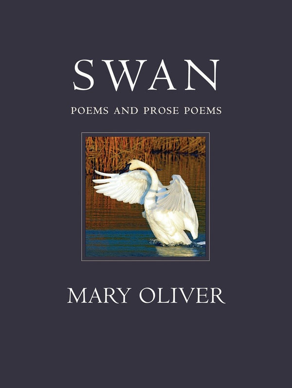 Swan-Poetry-買書書 BuyBookBook