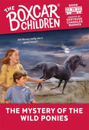 The Mystery of the Wild Ponies-Children’s / Teenage fiction: Action and adventure stories-買書書 BuyBookBook