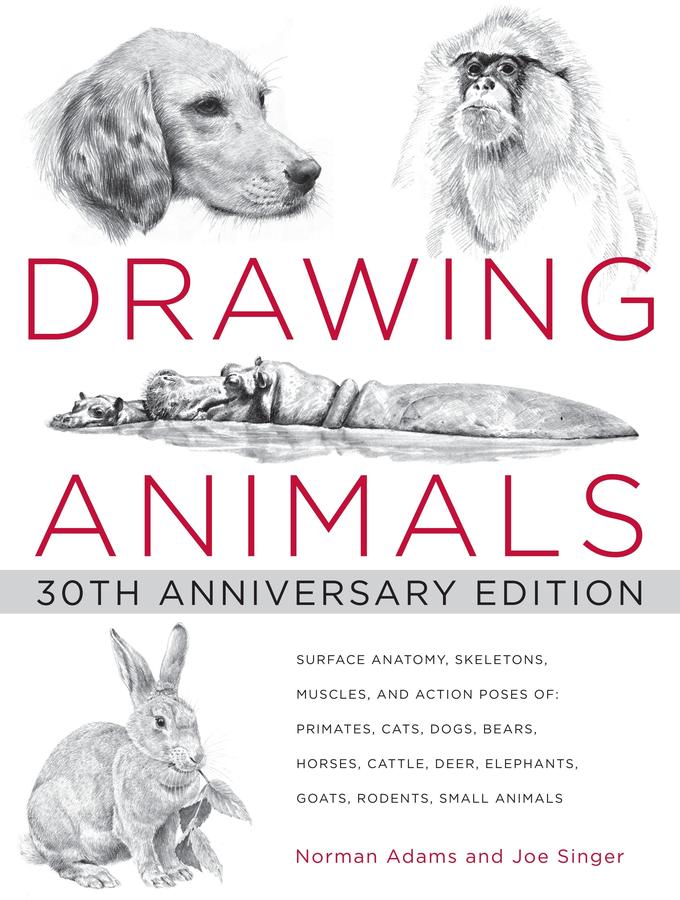 Drawing Animals-Art: general-買書書 BuyBookBook