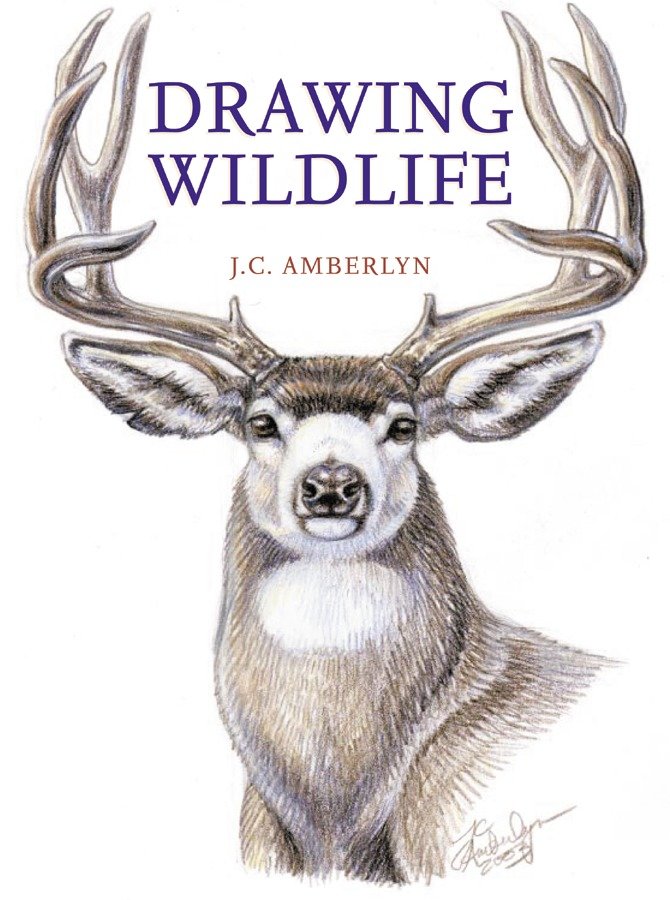 Drawing Wildlife-Art: general-買書書 BuyBookBook